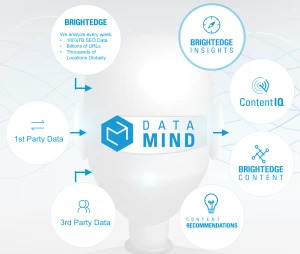 have a personal data analyst with brightedge