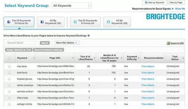 Social media platforms - viewing Performance on BrightEdge