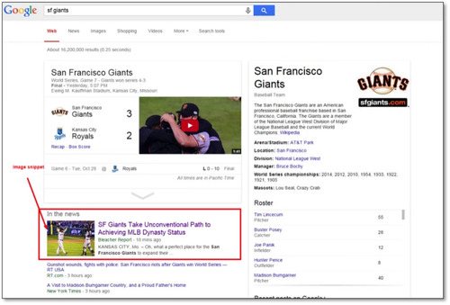 Screenshot of Search Results using schema - brightedge